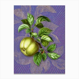 Vintage Apple Botanical Illustration on Veri Peri n.0731 Canvas Print