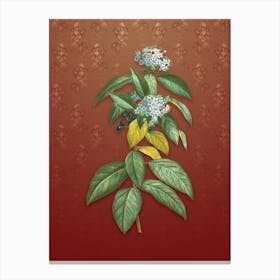 Vintage Laurustinus Botanical on Falu Red Pattern Canvas Print