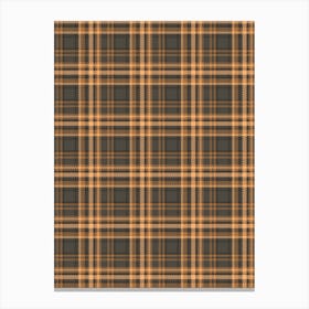 Plaid Fabric 1 Canvas Print