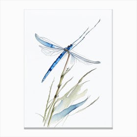 Blue Dasher Dragonfly Pencil Illustration 3 Canvas Print