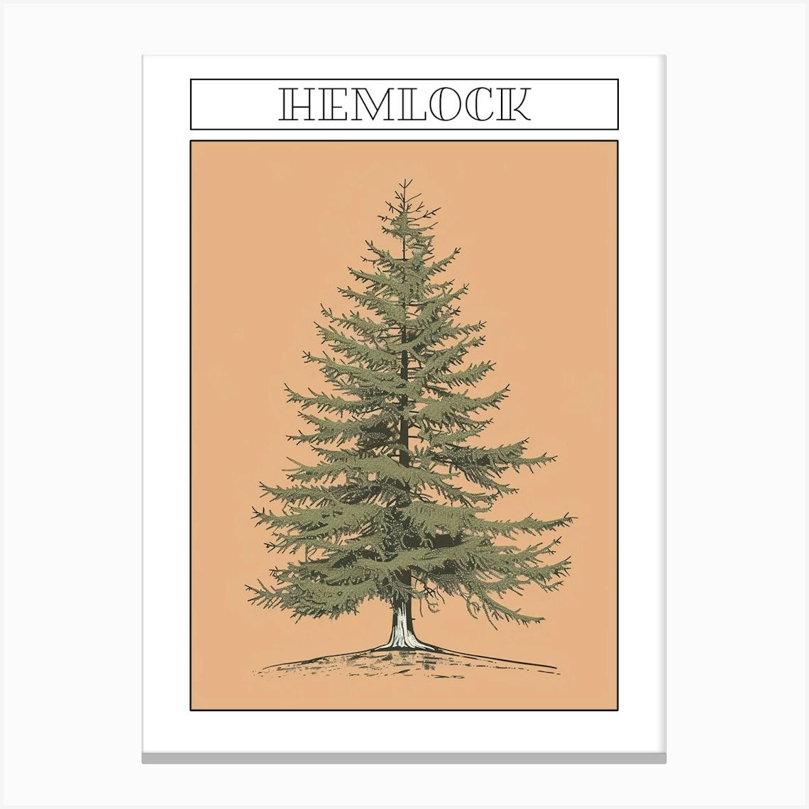 Tree Collection Illustration Drawing Engraving Ink Stock Vector (Royalty  Free) 1474553969 | Shutterstock