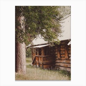 Log Cabin In Meadow Canvas Print