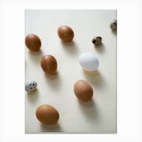 Eggs Stock Videos & Royalty-Free Footage 2 Canvas Print