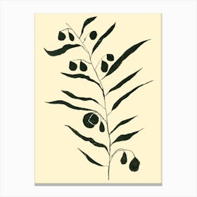 Eucalyptus Canvas Print