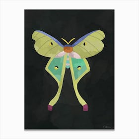 Green Moth Canvas Print