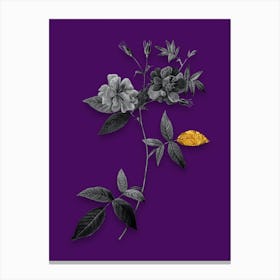 Vintage Hudson Rosehip Black and White Gold Leaf Floral Art on Deep Violet Canvas Print