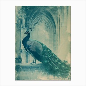Vintage Peacock Turquoise In A Church Abbey Cyanotype Inspired Canvas Print
