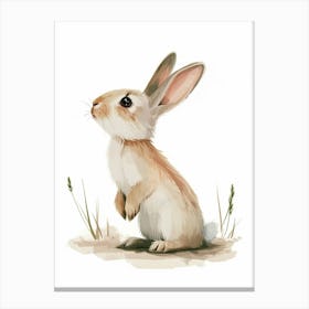 Californian Rabbit Kids Illustration 3 Canvas Print