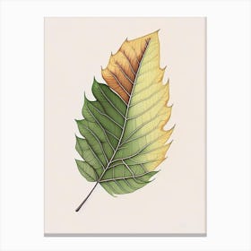 Ash Leaf Warm Tones Canvas Print