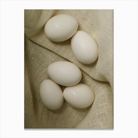 White Eggs 4 Canvas Print