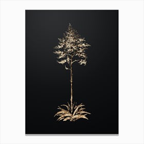 Gold Botanical Giant Cabuya on Wrought Iron Black n.0193 Canvas Print