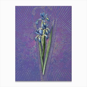 Vintage Blue Iris Botanical Illustration on Veri Peri n.0488 Canvas Print