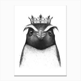 The King Penguin Canvas Print