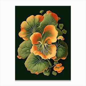Nasturtium Floral 1 Botanical Vintage Poster Flower Canvas Print