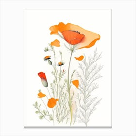 California Poppy Spices And Herbs Pencil Illustration 3 Canvas Print