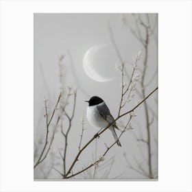 Bird On A Branch 3 Canvas Print