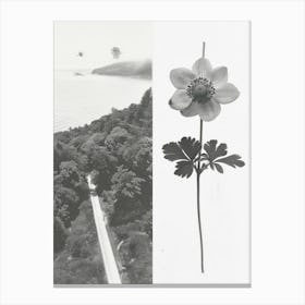 Anemone Flower Photo Collage 3 Canvas Print