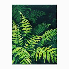 Ferns Canvas Print