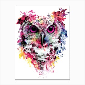 Owl Canvas Print