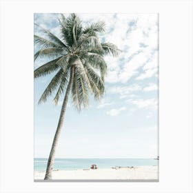 Beach Palm Tree On A Tropical Island Canvas Print