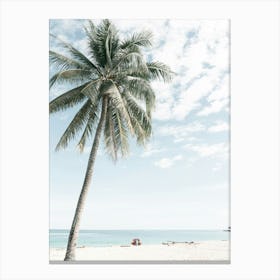 Beach Palm Tree On A Tropical Island Travel Photography Canvas Print