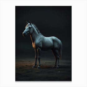 White Horse In The Dark Canvas Print