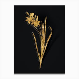 Vintage Ixia Tricolor Botanical in Gold on Black Canvas Print