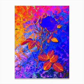 White Provence Rose Botanical in Acid Neon Pink Green and Blue n.0208 Canvas Print