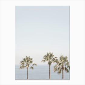 Palm Trees And Ocean Canvas Print
