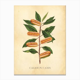 Hot Dog Botanical Canvas Print