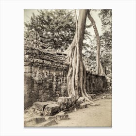 Tree Roots Of Angkor Cambodia Canvas Print