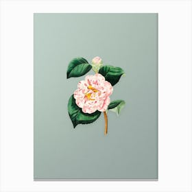 Vintage Gray's Invincible Camellia Flower Botanical Art on Mint Green n.0283 Canvas Print