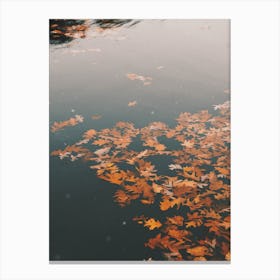 Autumn Leaves On Pond Canvas Print