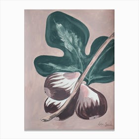 Figs For Feeling Fab Canvas Print