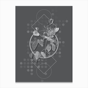 Vintage Duchess of Orleans Rose Botanical with Line Motif and Dot Pattern in Ghost Gray n.0353 Canvas Print