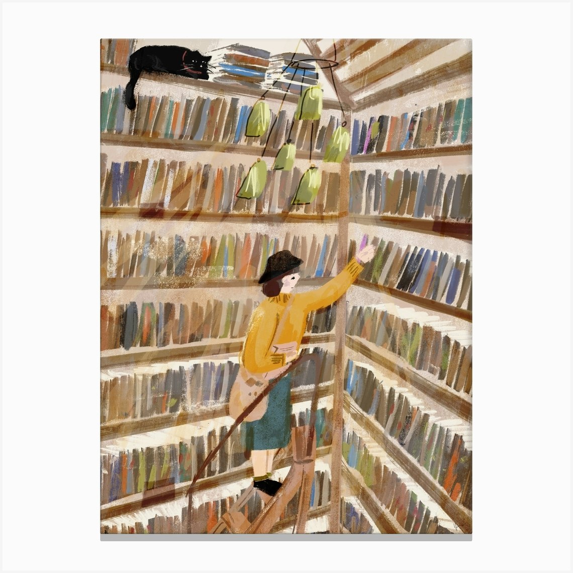 Bookshelves Toile