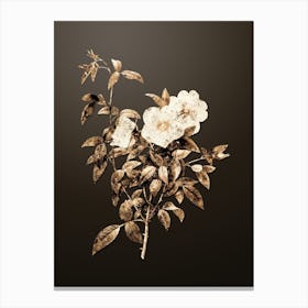 Gold Botanical White Rose of Snow on Chocolate Brown n.3777 Canvas Print