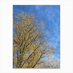 Autumn Tree Against Blue Sky 1 Canvas Print