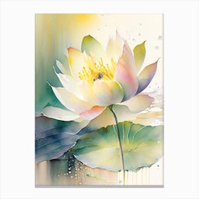 Amur Lotus Storybook Watercolour 1 Canvas Print