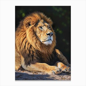 Barbary Lion Resting Acrylic Painting 2 Canvas Print