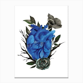 Anatomical blue heart with black rose Canvas Print