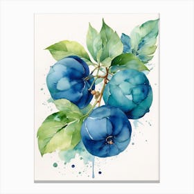 Blue Plums Canvas Print