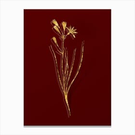 Vintage Amaryllis Montana Botanical in Gold on Red n.0045 Canvas Print