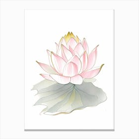 Sacred Lotus Pencil Illustration 1 Canvas Print