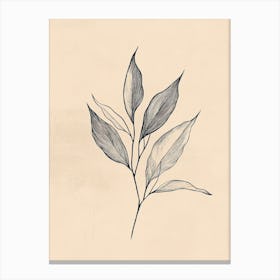 Drawing Of A Leaf 5 Canvas Print