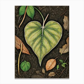 Heart Of A Leaf Canvas Print