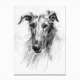  Redbone Dog Charcoal Line 3 Canvas Print