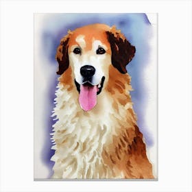 Kuvasz Watercolour dog Canvas Print
