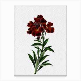 Red Flowers 4 Canvas Print