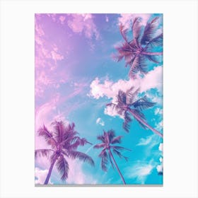 Sky With Palm Trees Canvas Print
